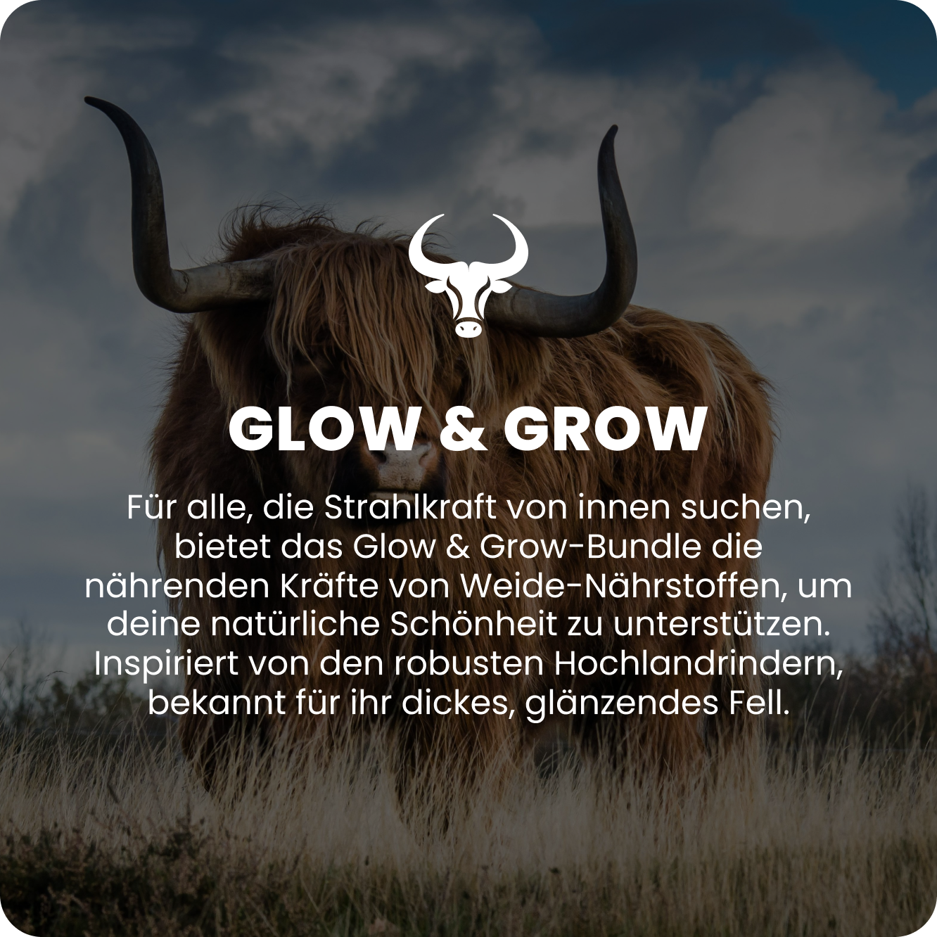 Glow &amp; Grow