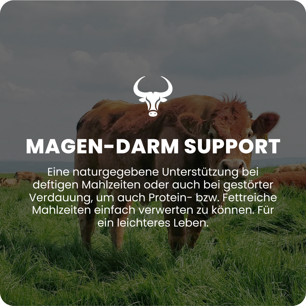 Gastrointestinal support