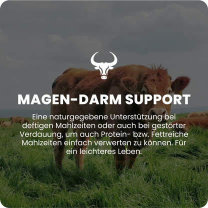 Gastrointestinal support