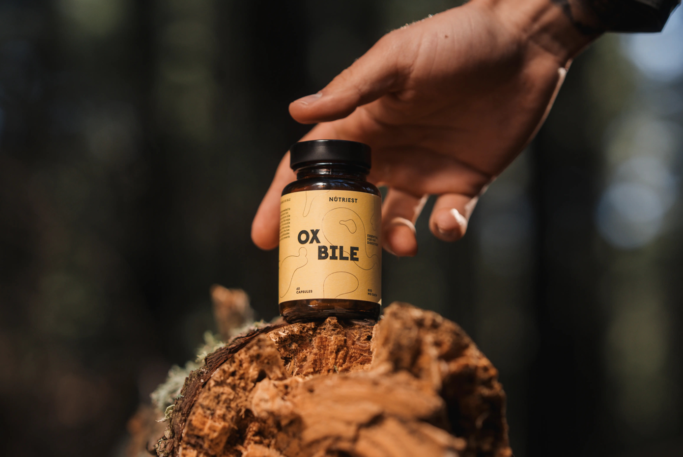 Ox Bile Supplement